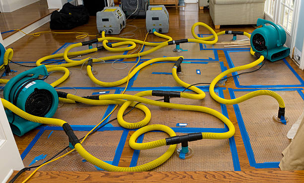 Professional Burst Pipe Water Damage technician working in Hamburg, NJ